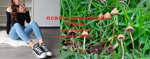 прущая мука Пестово