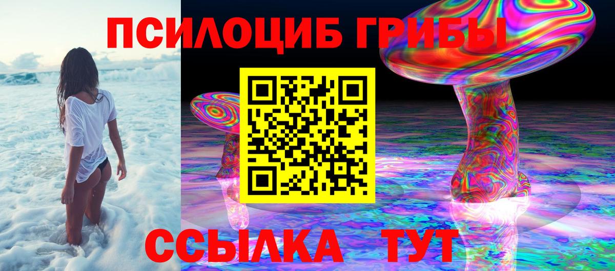 Галлюциногенные грибы Cubensis Балашиха